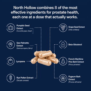 North Hollow