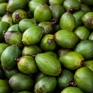 Saw Palmetto Extract (320mg)